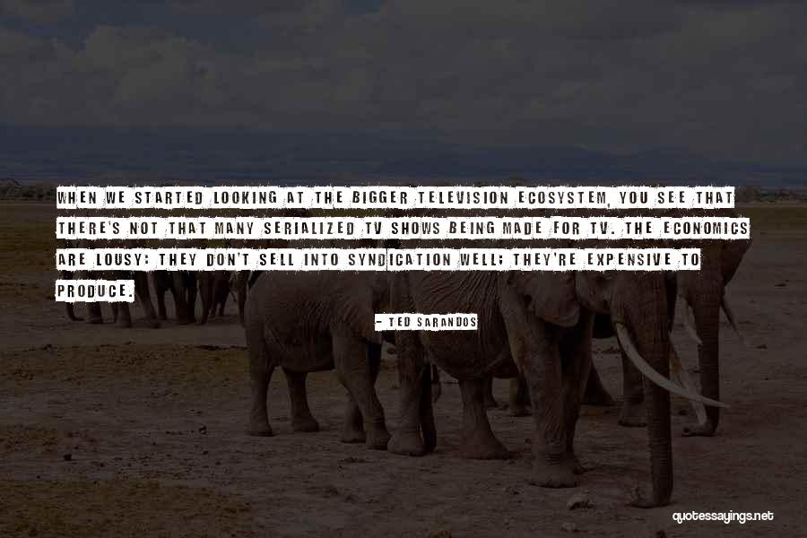 Amanecer Borincano Quotes By Ted Sarandos Amanecer Borincano Quotes By Ted Sarandos
