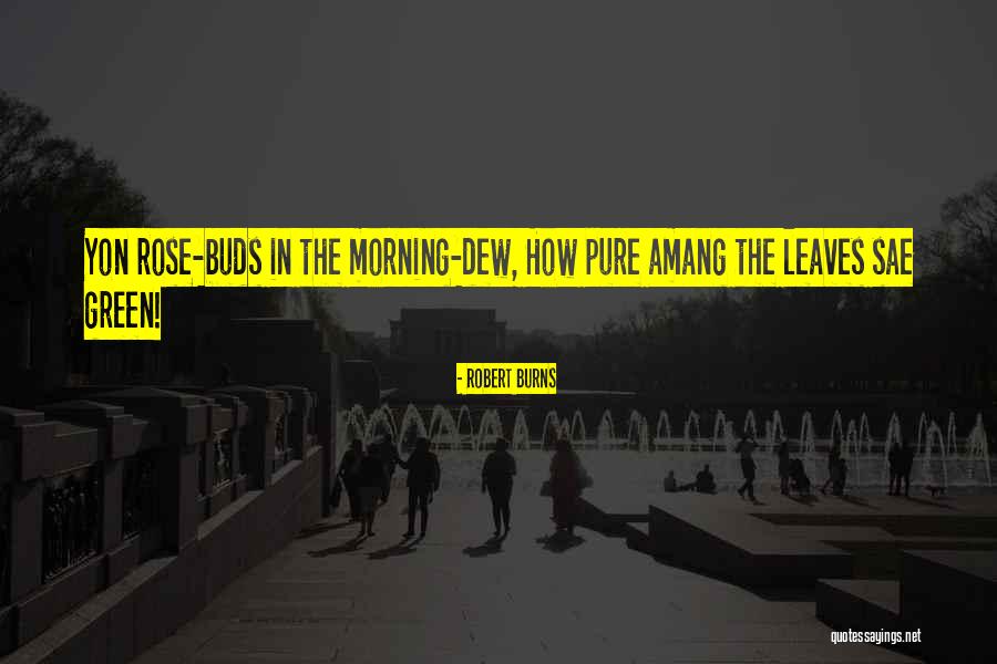 Amang Quotes By Robert Burns Amang Quotes By Robert Burns