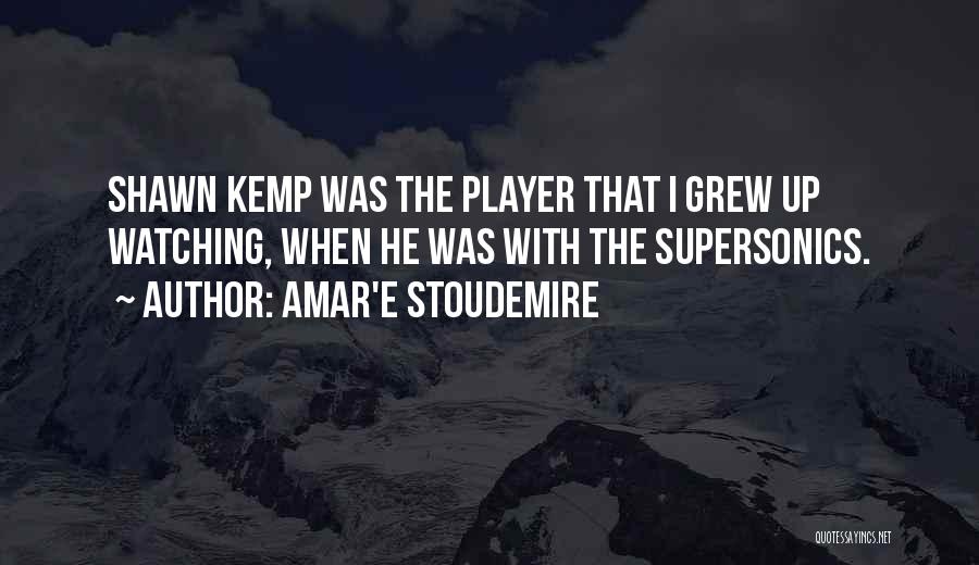 Amar Quotes By Amar'e Stoudemire