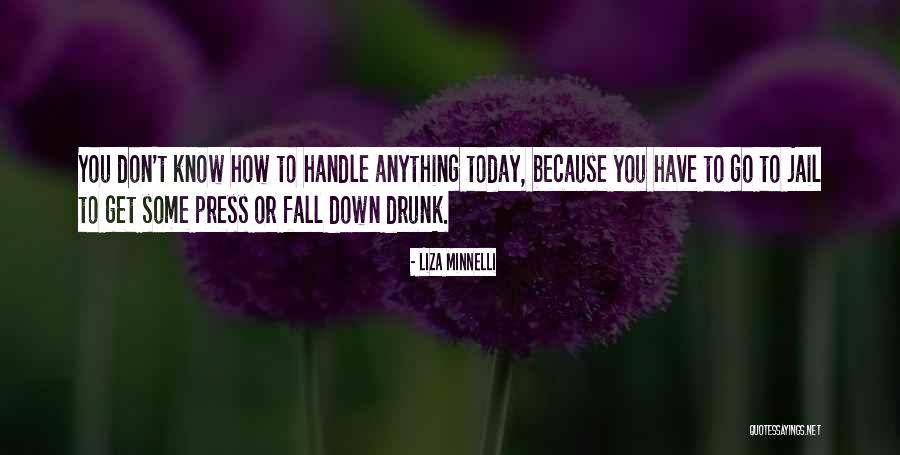 Amaramehdi Quotes By Liza Minnelli