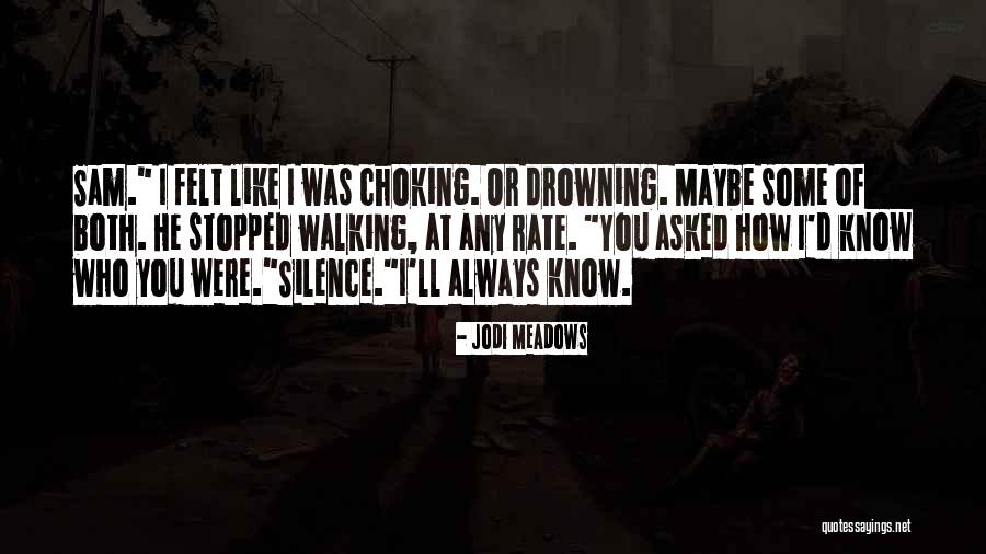 Amaras A Dios Quotes By Jodi Meadows Amaras A Dios Quotes By Jodi Meadows