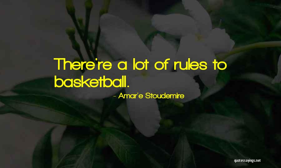 Amar'e Stoudemire Quotes 1063236