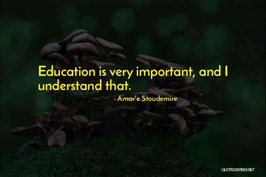 Amar'e Stoudemire Quotes 1353294 Amar'e Stoudemire Quotes 1353294