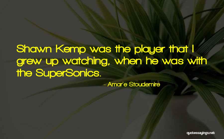 Amar'e Stoudemire Quotes 189606