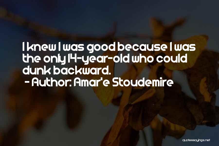 Amar'e Stoudemire Quotes 518793