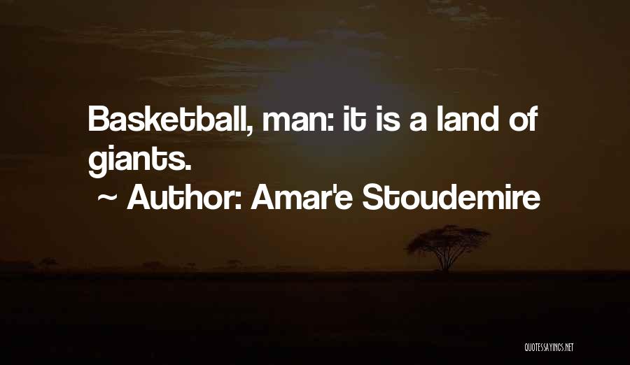 Amar'e Stoudemire Quotes 751369