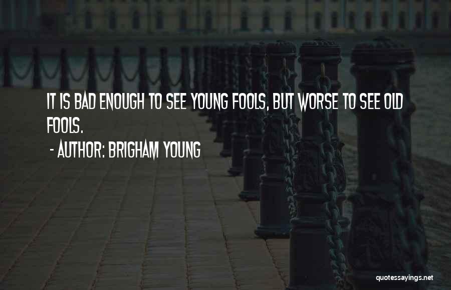 Amarelli Quotes By Brigham Young