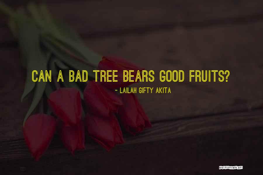 Amargado Sinonimo Quotes By Lailah Gifty Akita Amargado Sinonimo Quotes By Lailah Gifty Akita