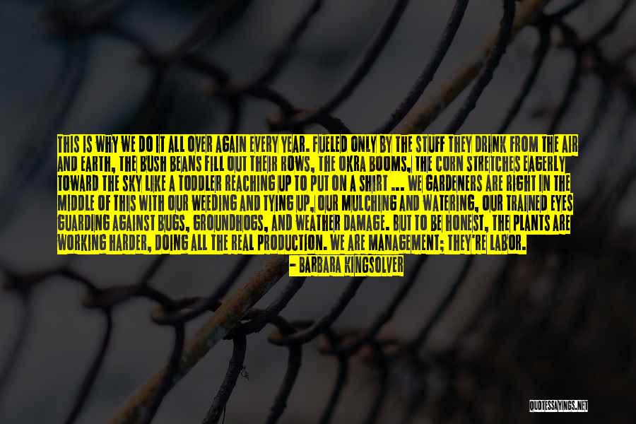Amarguras Cholo Quotes By Barbara Kingsolver Amarguras Cholo Quotes By Barbara Kingsolver