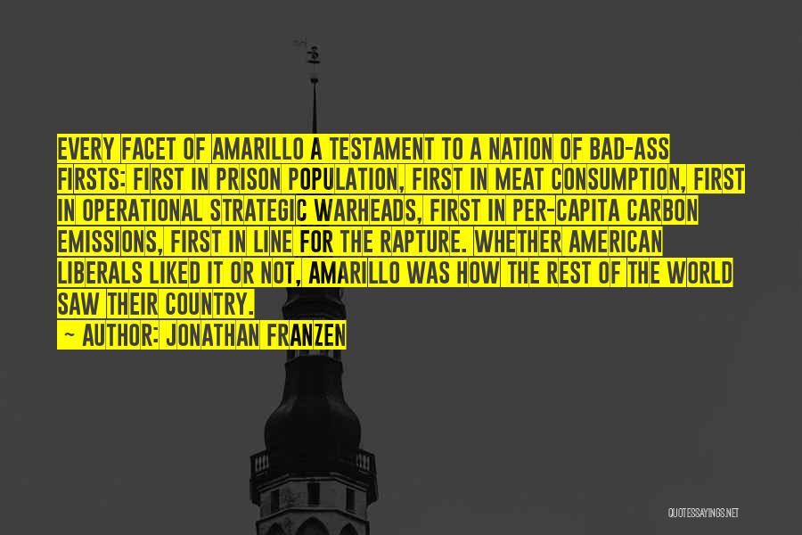 Amarillo Quotes By Jonathan Franzen