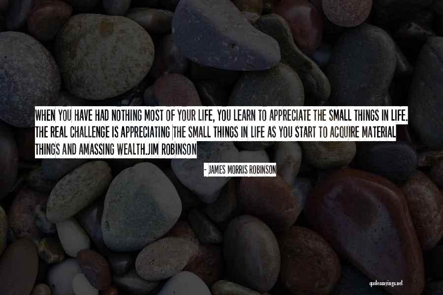 Amassing Wealth Quotes By James Morris Robinson