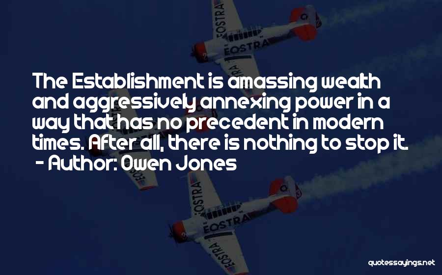 Amassing Wealth Quotes By Owen Jones