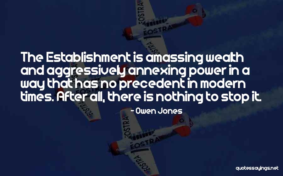 Amassing Wealth Quotes By Owen Jones