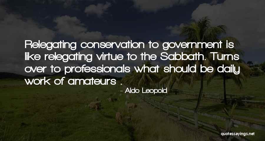 Amateurs Quotes By Aldo Leopold Amateurs Quotes By Aldo Leopold