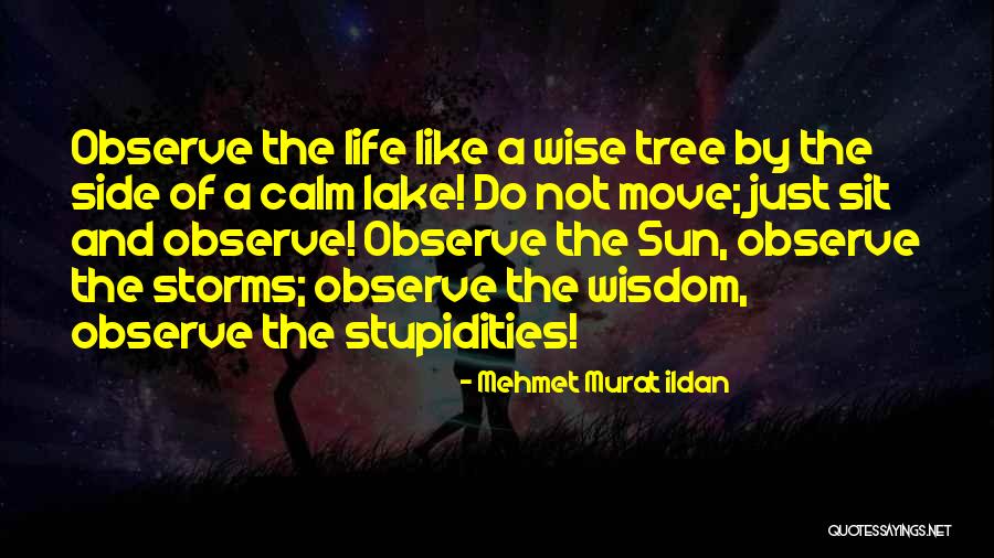 Amati Education Quotes By Mehmet Murat Ildan Amati Education Quotes By Mehmet Murat Ildan