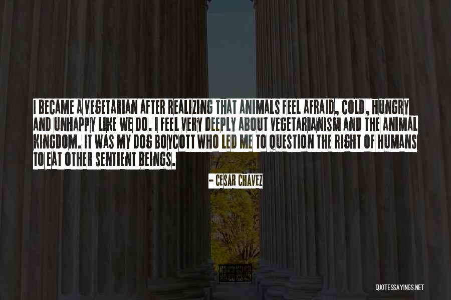 Amatore Laporta Quotes By Cesar Chavez Amatore Laporta Quotes By Cesar Chavez