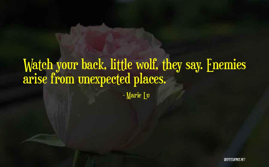 Amatory County Quotes By Marie Lu Amatory County Quotes By Marie Lu