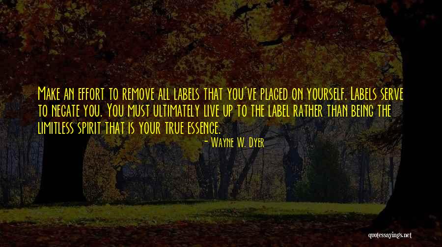Amatos Brunswick Quotes By Wayne W. Dyer Amatos Brunswick Quotes By Wayne W. Dyer
