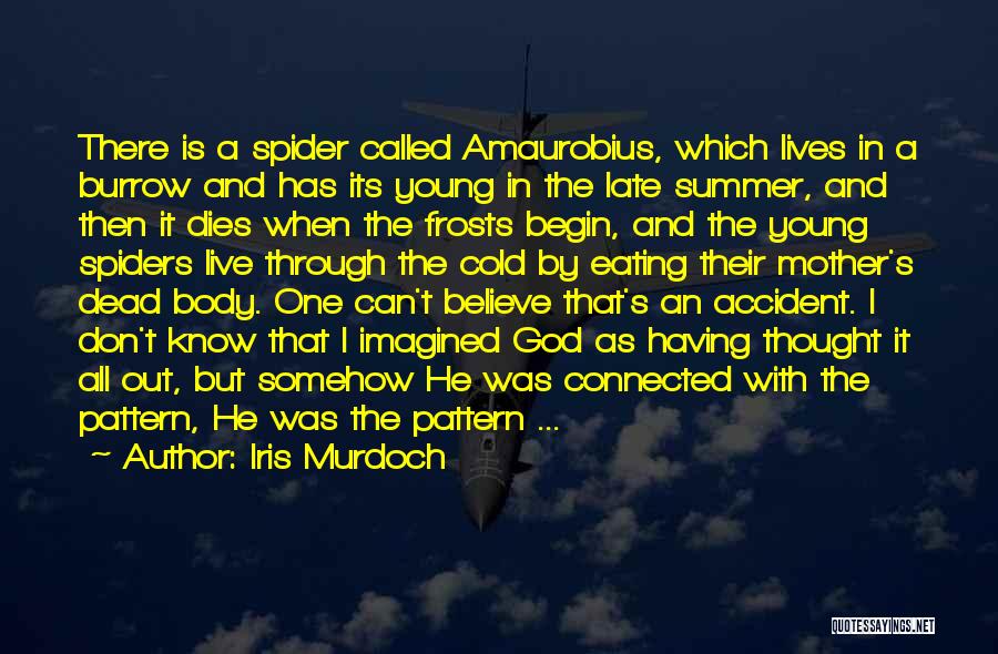Amaurobius Spiders Quotes By Iris Murdoch