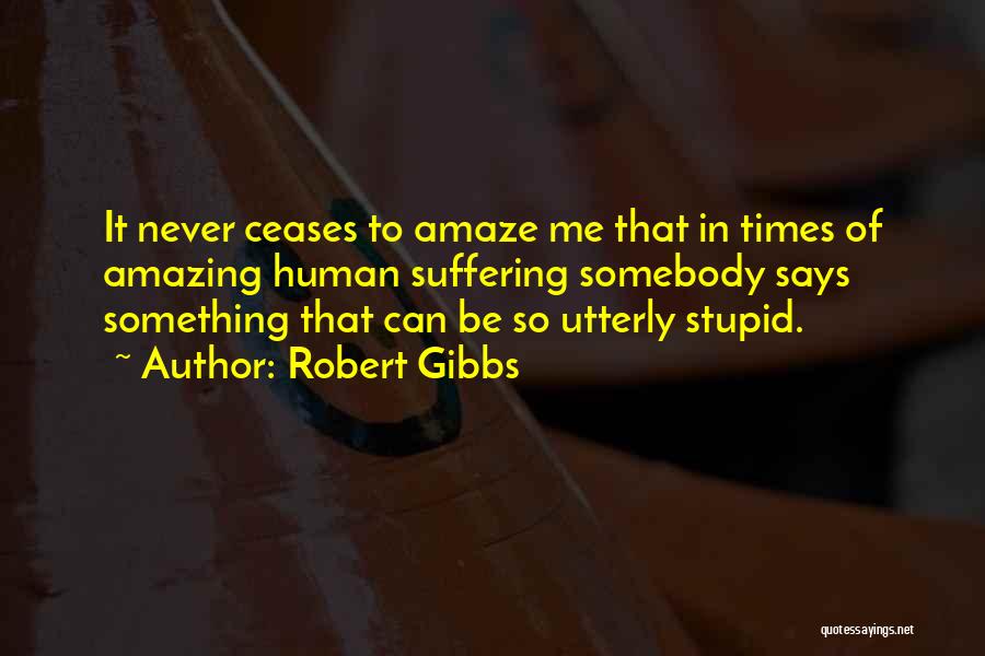 Amaze Myself Quotes By Robert Gibbs