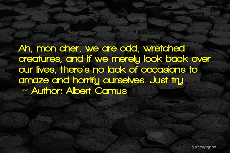 Amaze Quotes By Albert Camus