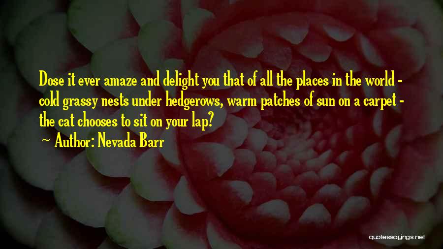 Amaze Quotes By Nevada Barr