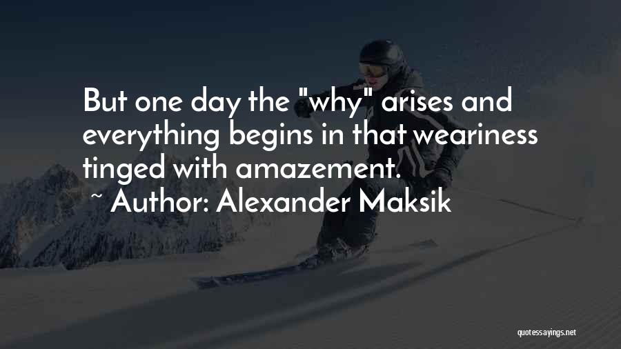 Amazement Quotes By Alexander Maksik