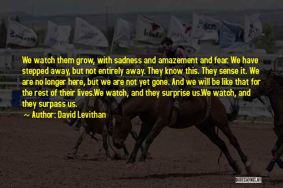 Amazement Quotes By David Levithan