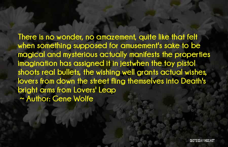 Amazement Quotes By Gene Wolfe