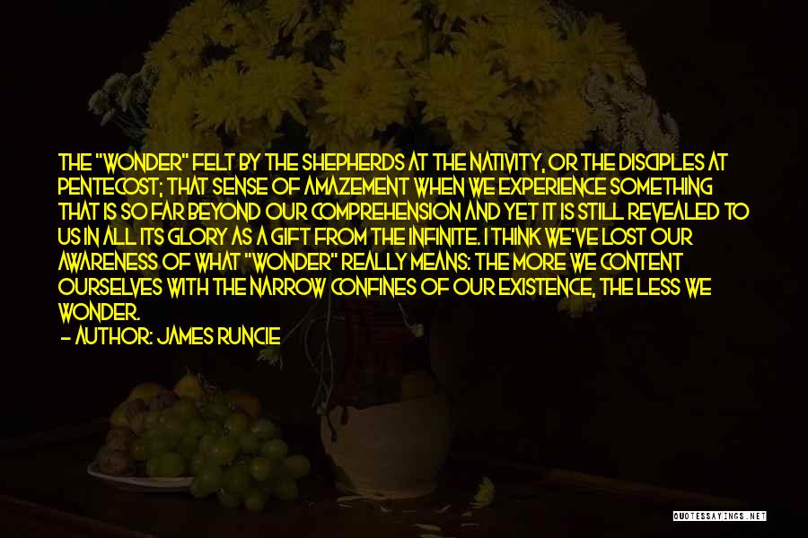 Amazement Quotes By James Runcie