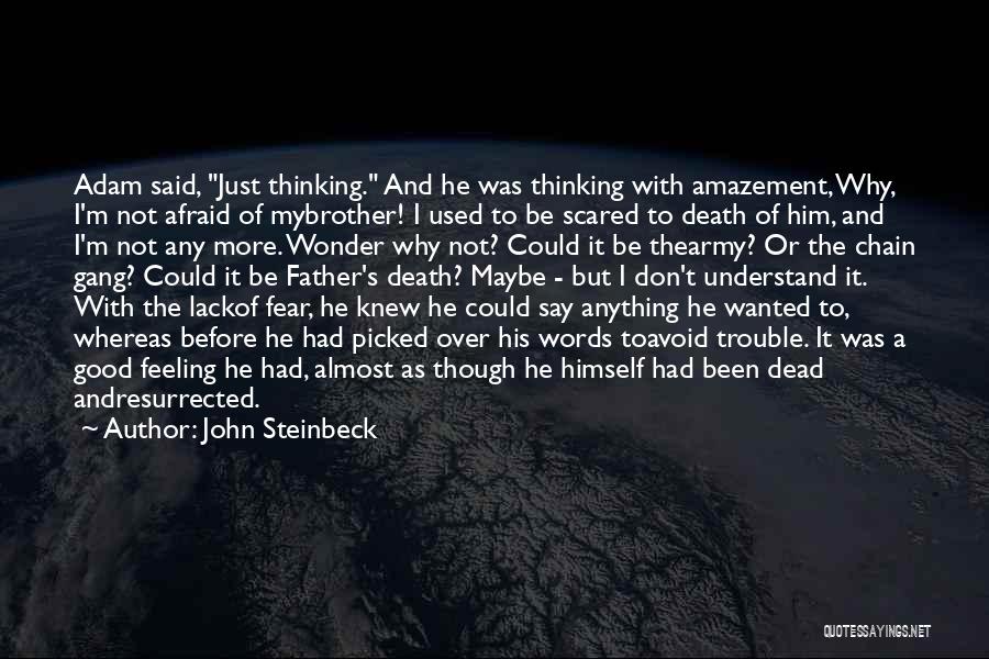 Amazement Quotes By John Steinbeck