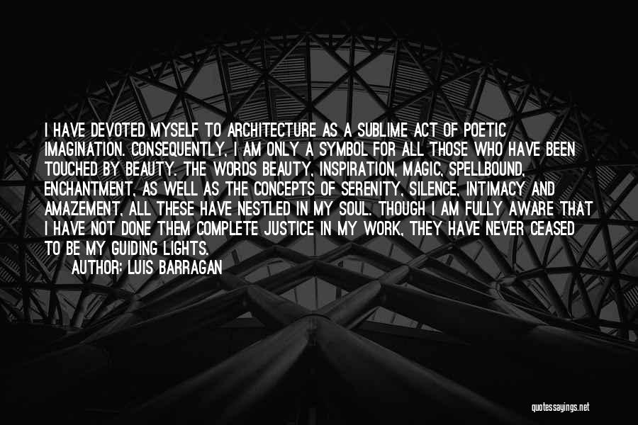 Amazement Quotes By Luis Barragan