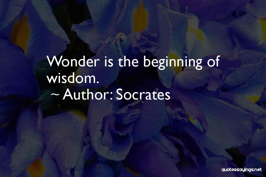 Amazement Quotes By Socrates