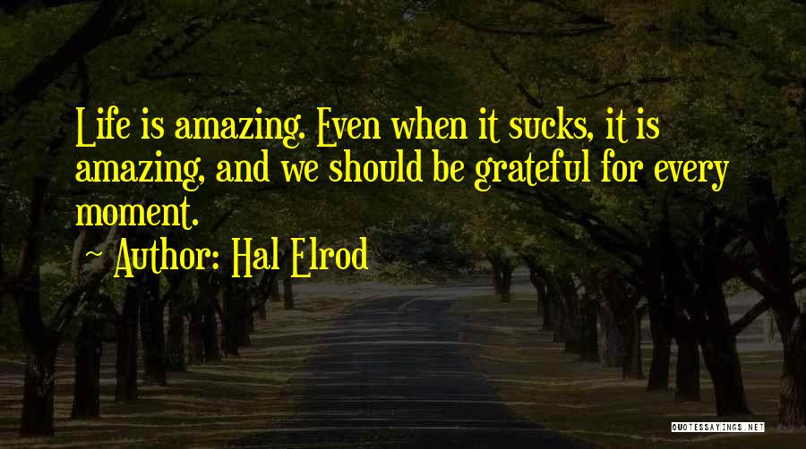 Amazing And Inspirational Quotes By Hal Elrod