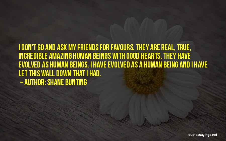 Amazing Friends Quotes By Shane Bunting