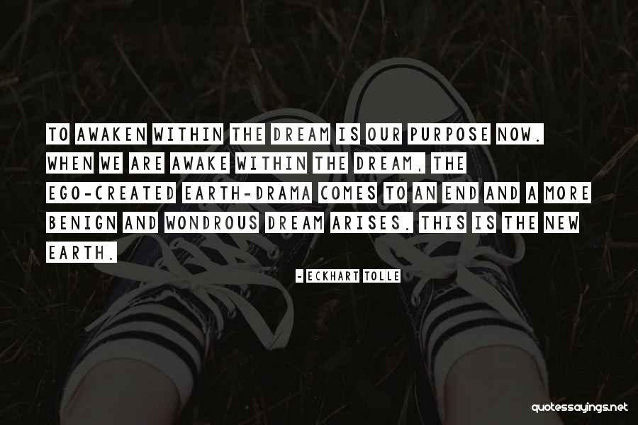 Amazing Ladies Quotes By Eckhart Tolle Amazing Ladies Quotes By Eckhart Tolle