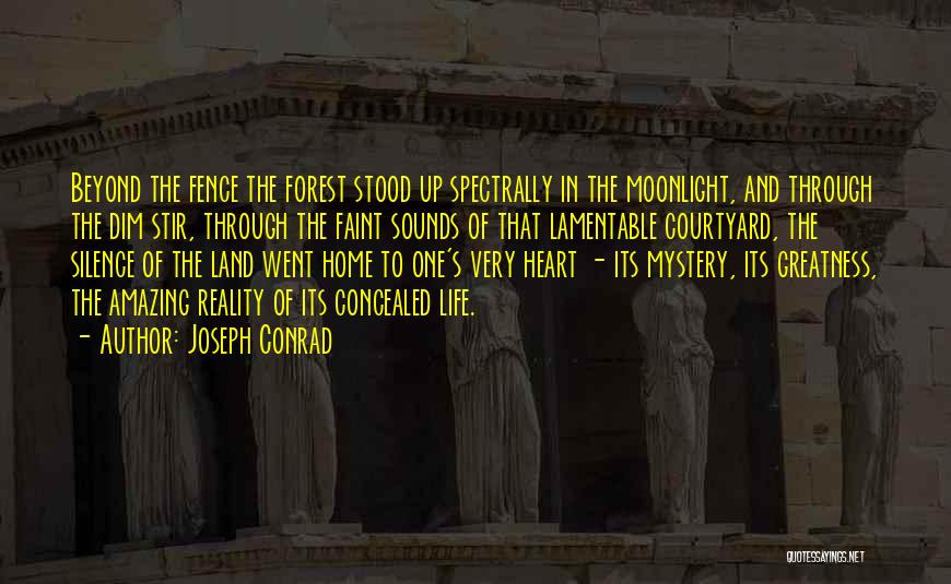 Amazing Life Quotes By Joseph Conrad