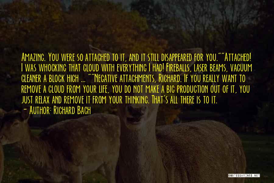 Amazing Life Quotes By Richard Bach