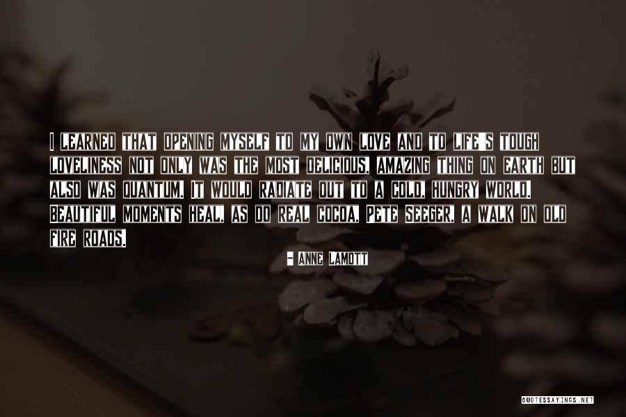 Amazing Real Life Quotes By Anne Lamott Amazing Real Life Quotes By Anne Lamott