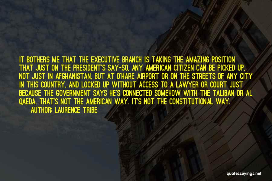 Amazing Says And Quotes By Laurence Tribe