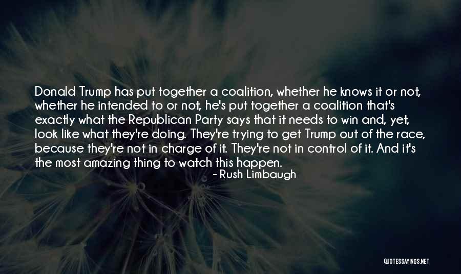 Amazing Says And Quotes By Rush Limbaugh