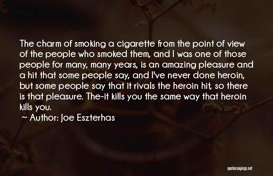 Amazing Views Quotes By Joe Eszterhas