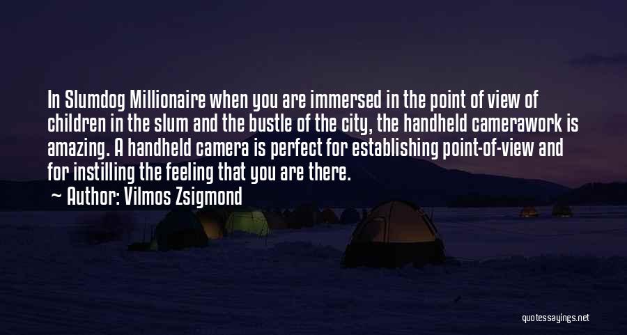 Amazing Views Quotes By Vilmos Zsigmond