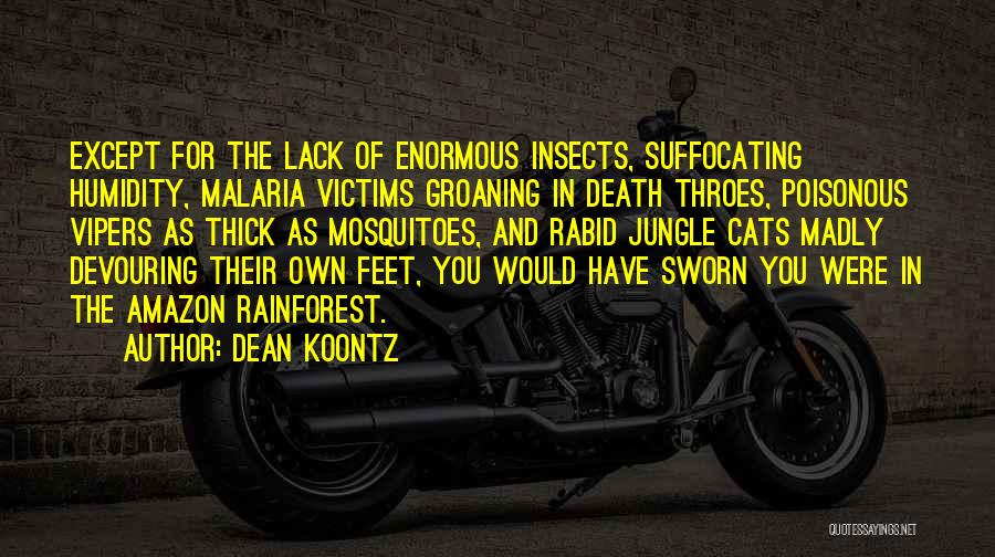 Amazon Jungle Quotes By Dean Koontz