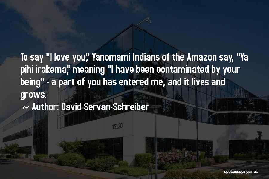 Amazon Love Quotes By David Servan-Schreiber