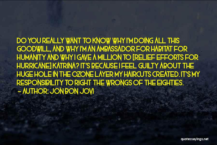 Ambassador Of Goodwill Quotes By Jon Bon Jovi