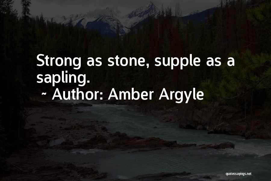 Amber Argyle Quotes 173095