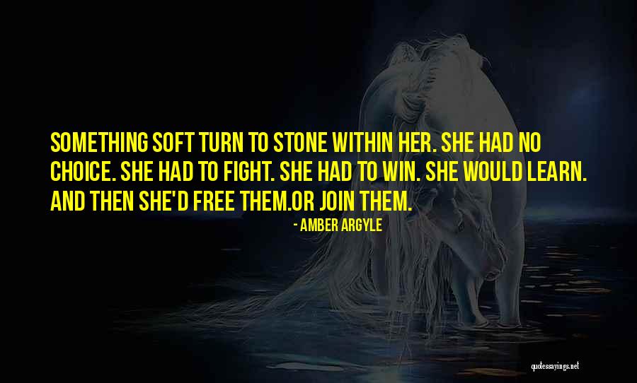 Amber Argyle Quotes 2223676 Amber Argyle Quotes 2223676