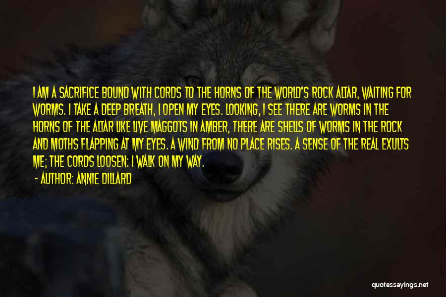 Amber Eyes Quotes By Annie Dillard