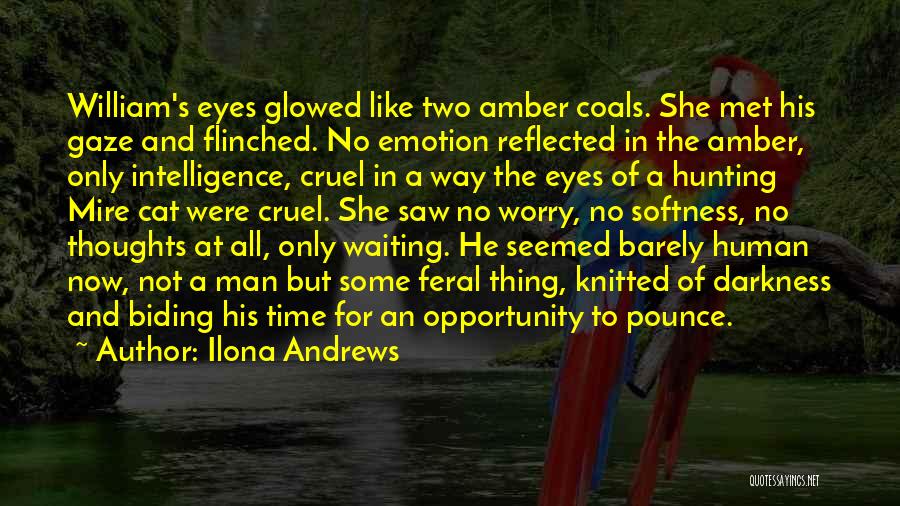 Amber Eyes Quotes By Ilona Andrews